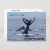 Monterey California Whale Schwanz Postcard Postkarte (Vorne/Hinten)