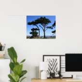 Monterey Cypress Tree, Coastline Foto Poster (Heimbüro)