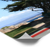 Monterey Cypress Tree, Coastline Foto Poster (Ecke)