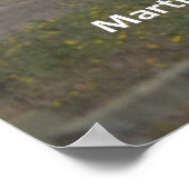 Monterey Cypresses Poster (Ecke)