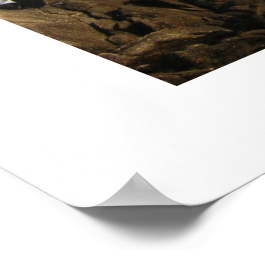 Monterey Ocean Print Poster (Ecke)