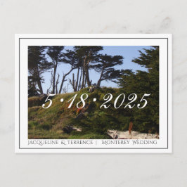 Monterey Pines California Save the Date Ankündigungspostkarte