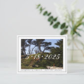 Monterey Pines California Save the Date Ankündigungspostkarte (Stehend Vorderseite)