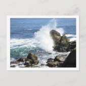 Monterey Postkarte (Vorderseite)