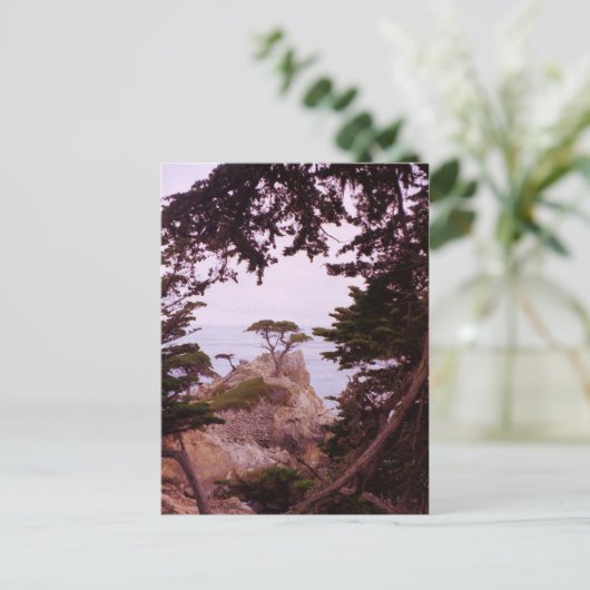 Monterey Postkarte (Stehend Vorderseite)