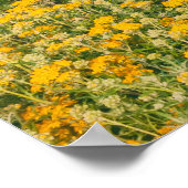 Monterey Spring Poster (Ecke)