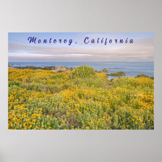 Monterey Spring Poster (Vorne)