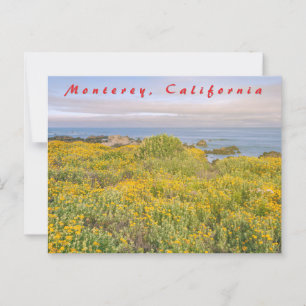 Monterey Spring Postkarte