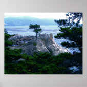 Monterie Poster (Vorne)