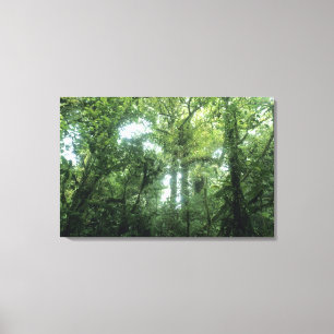 Monteverde Cloud Forest, Costa Rica. Leinwanddruck