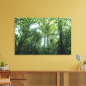 Monteverde Cloud Forest, Costa Rica. Leinwanddruck (Insitu (Wohnzimmer))