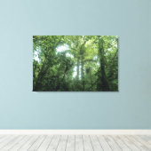 Monteverde Cloud Forest, Costa Rica. Leinwanddruck (Insitu (Holzboden))