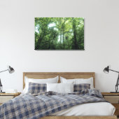 Monteverde Cloud Forest, Costa Rica. Leinwanddruck (Insitu (Schlafzimmer))