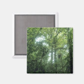 Monteverde Cloud Forest, Costa Rica. Magnet (Vorderseite/Rückseite)