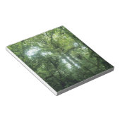 Monteverde Cloud Forest, Costa Rica. Notizblock (angewinkelt)