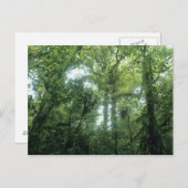 Monteverde Cloud Forest, Costa Rica. Postkarte (Vorne/Hinten)