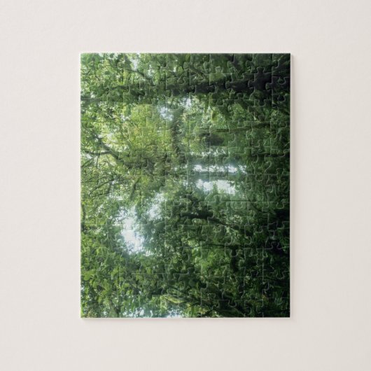 Monteverde Cloud Forest, Costa Rica. Puzzle (Vertikal)