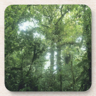 Monteverde Cloud Forest, Costa Rica. Untersetzer