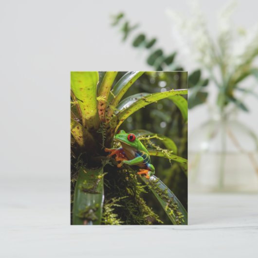 Monteverde Cloud Forest Red mit Augen Treefrog Postkarte (Stehend Vorderseite)