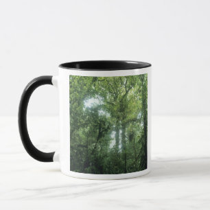 Monteverde-Nebelwald, Costa Rica. Tasse