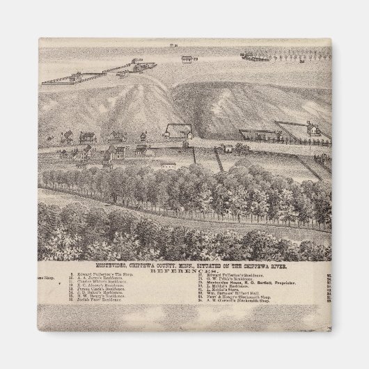 Montevideo, Granitfälle, Minnesota Magnet (Vorne)