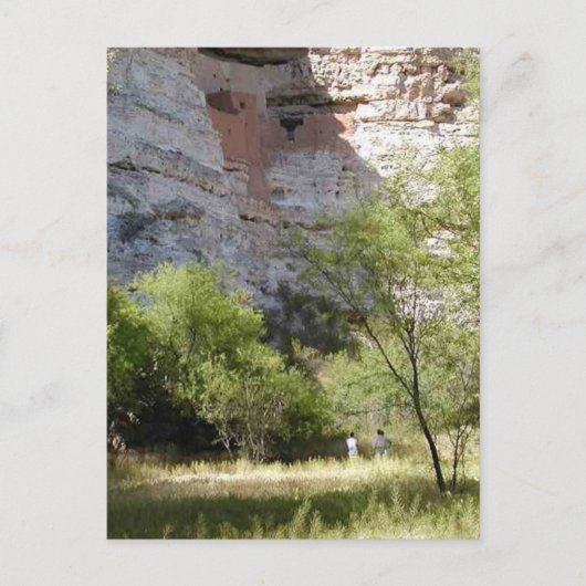 Montezuma Castle Cliff Indian Grass Trees Postkarte (Vorderseite)