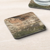 Montezuma Castle National Monument, Arizona Getränkeuntersetzer (Linke Seite)