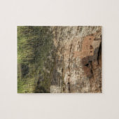 Montezuma Castle National Monument, Arizona Puzzle (Horizontal)