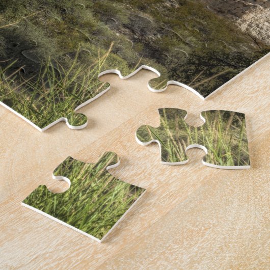 Montezuma Castle National Monument, Arizona Puzzle (Seite)