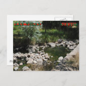 Montezuma Hot Springs Postkarte (Vorne/Hinten)