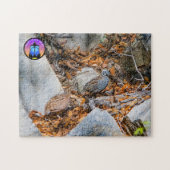 Montezuma Quail Jigsaw Puzzle (Horizontal)