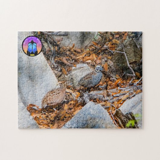Montezuma Quail Jigsaw Puzzle (Horizontal)