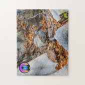 Montezuma Quail Jigsaw Puzzle (Vertikal)