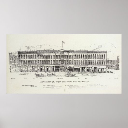 Montgomery West side Bush und Pine Poster (Vorne)