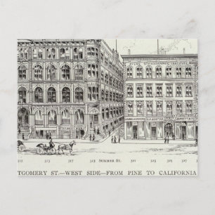 Montgomery West Side Pine und Kalifornien Postkarte