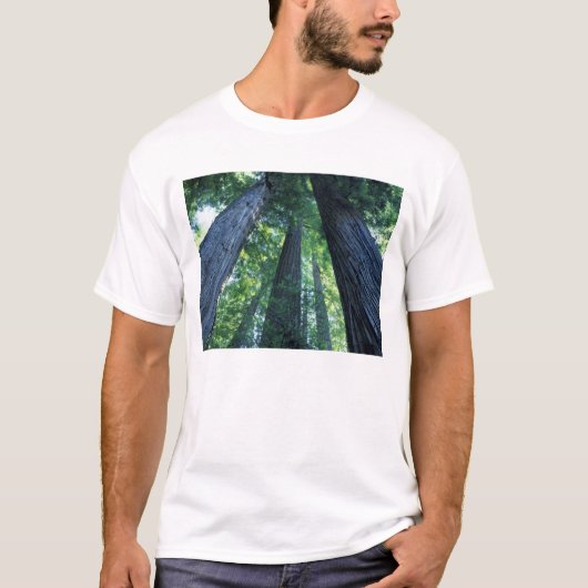 Montgomery Woods Staat Reserve, Kalifornien. T-Shirt (Vorderseite)