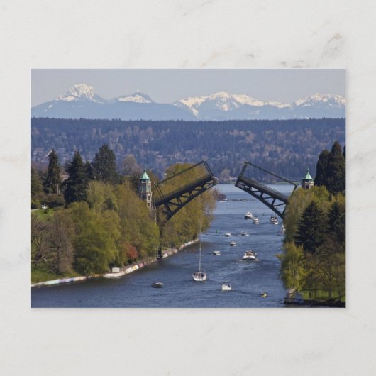 Montlake-Brücke und Cascade-Berge Postkarte (Vorderseite)