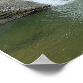 Montour Falls Finger Lakes New York Poster (Ecke)