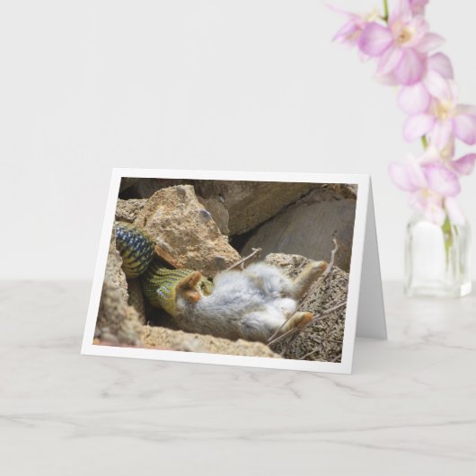 Montpellier Snake Feasting auf Kaninchen Karte (Orchidee)