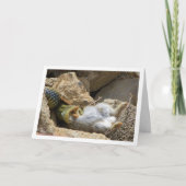 Montpellier Snake Feasting auf Kaninchen Karte (Vorderseite)