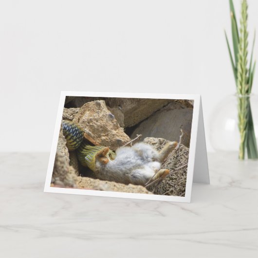 Montpellier Snake Feasting auf Kaninchen Karte (Vorderseite)