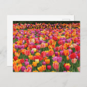 MONTREAL TULIPS POSTKARTE (Vorne/Hinten)