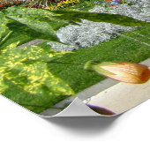 Montreux Poster (Ecke)