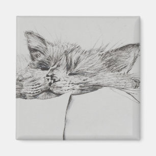 Monty schläfriger Junge Magnet