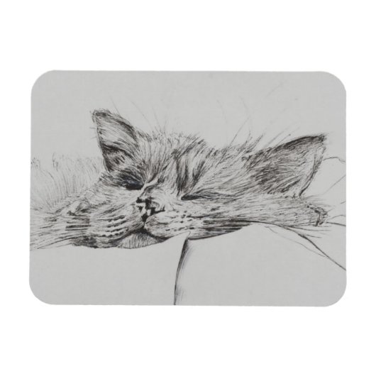 Monty sleepy magnet (Horizontal)