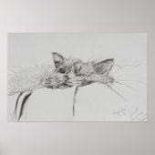 Monty sleepy poster (Vorne)