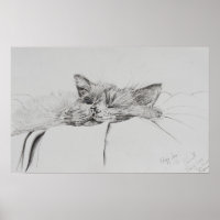Monty sleepy