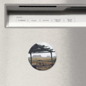 Monument Valley View Magnet (In Situ (Geschirrspüler))