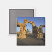 Monumental Arch, Palmyra, Homs, Syrien Magnet (Vorderseite/Rückseite)