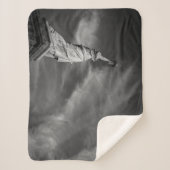 Monuments | Statue of Liberty Manhattan NYC Sherpadecke (Vorderseite)